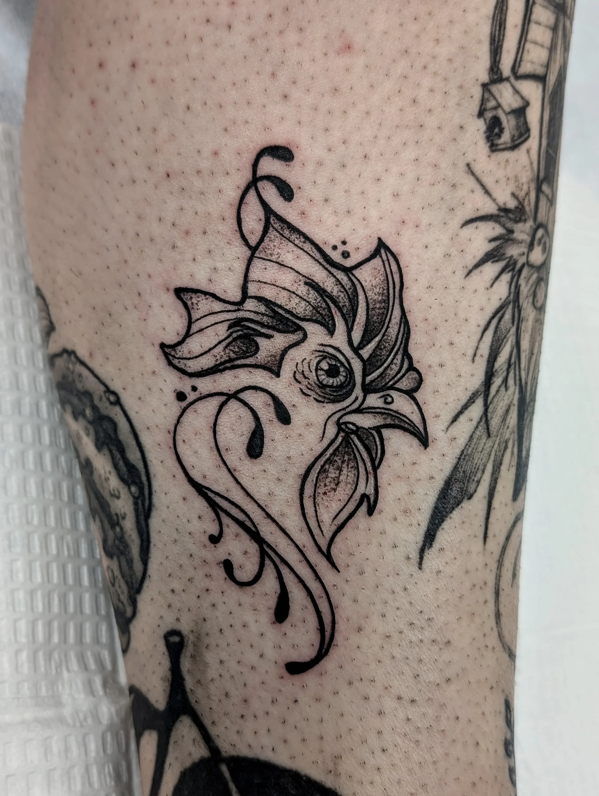 Bird Head Musical Linework - black and grey tattoo by Saskatoon tattoo artist