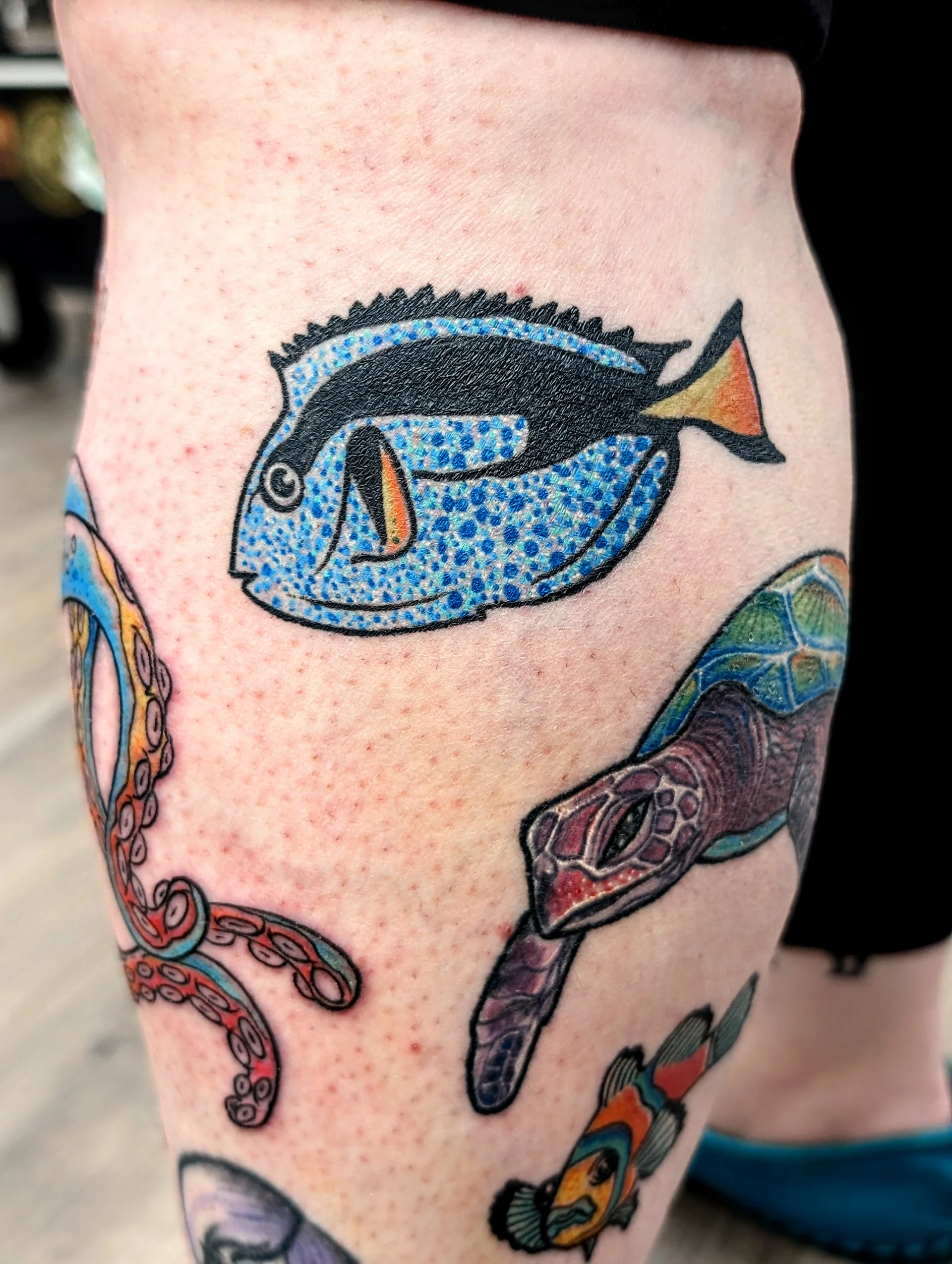 Dory Fish Closeup - new school tattoo by Saskatoon tattoo artist